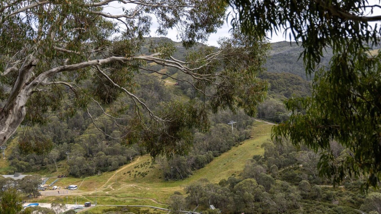 Photo of Others in Thredbo