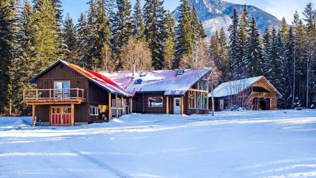 Photo of Outdoor in Golden