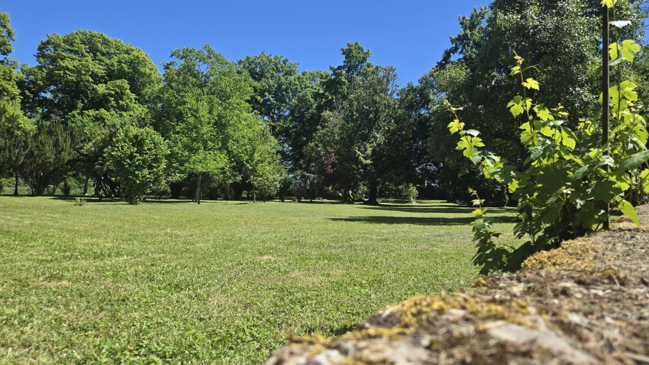 Photo of Outdoor in Souvigny
