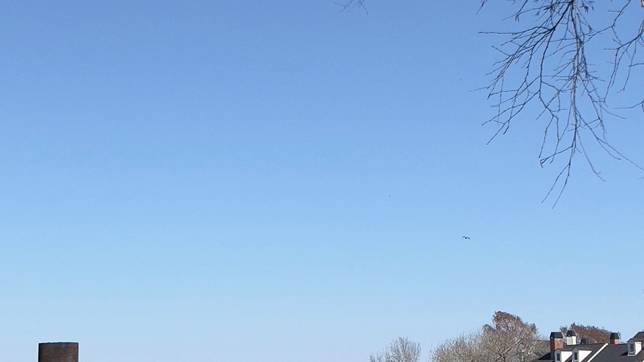 Photo of Outdoor in Saint Tammany Parish