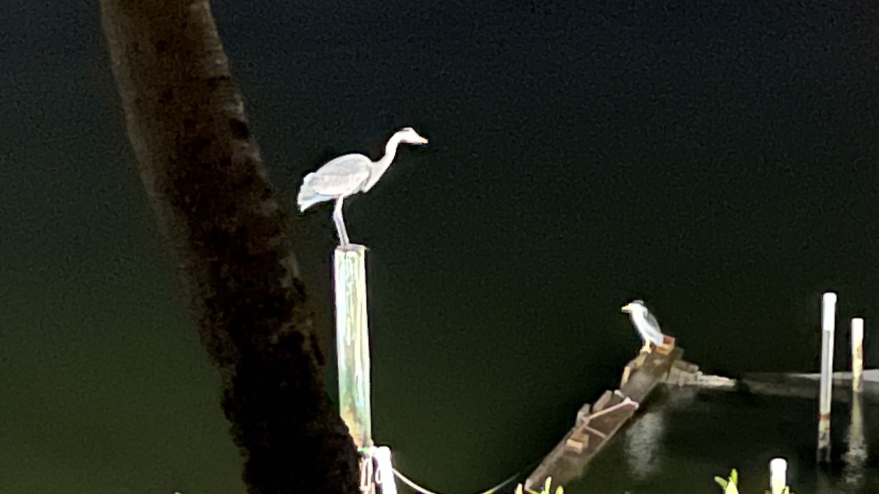 Photo of Others in Bethune Beach