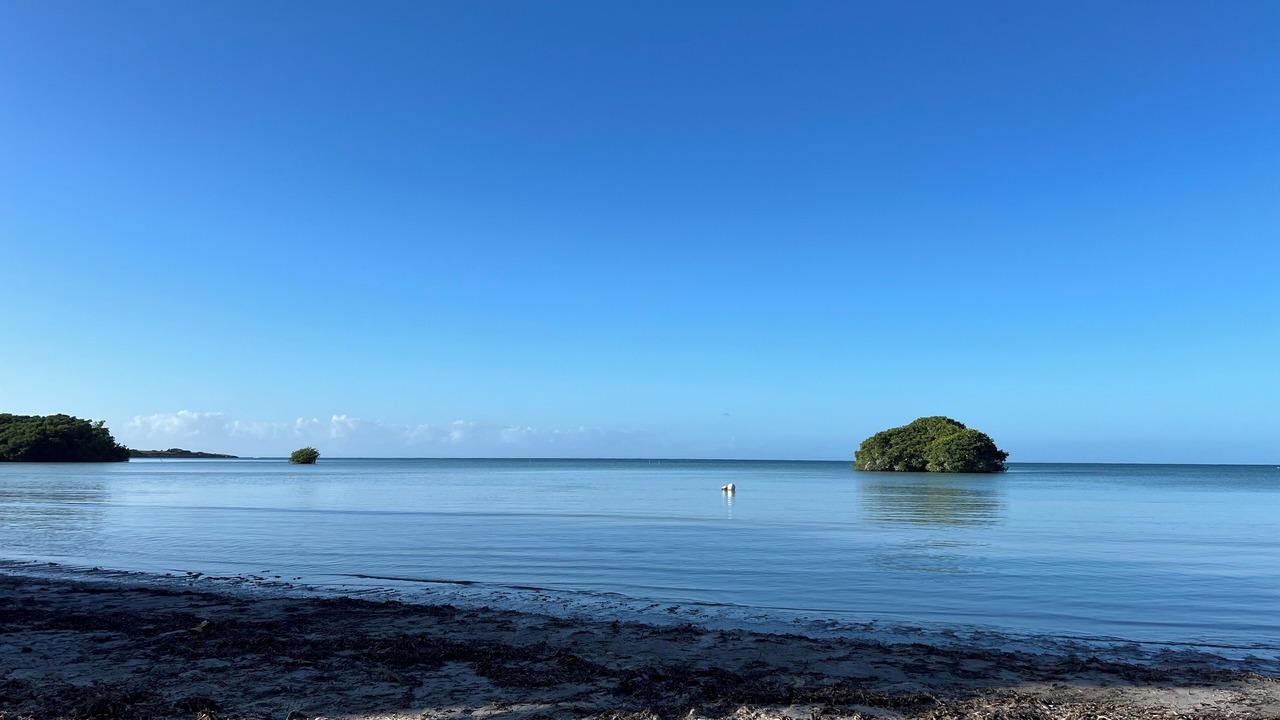 Photo of Others in Cabo Rojo