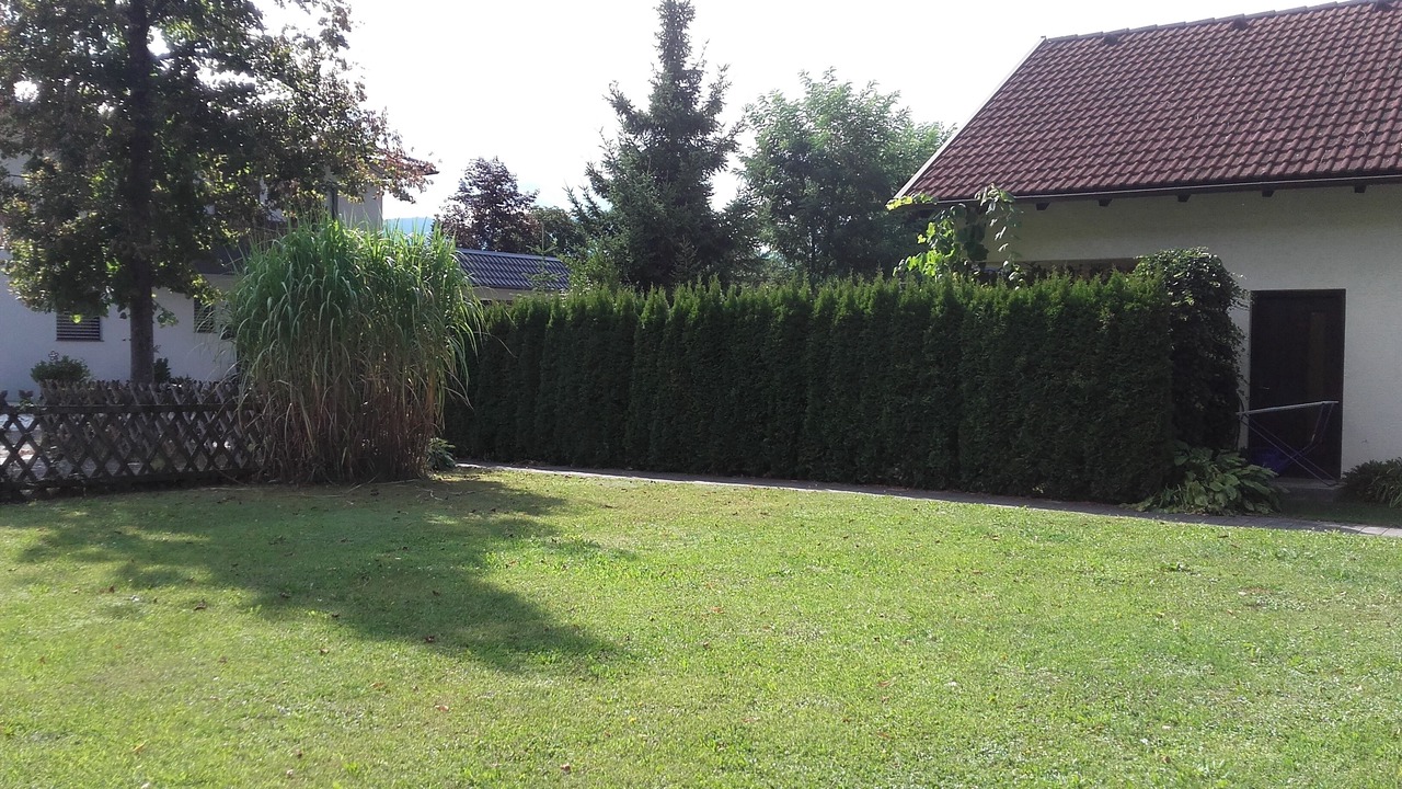 Photo of Outdoor in Doebriach