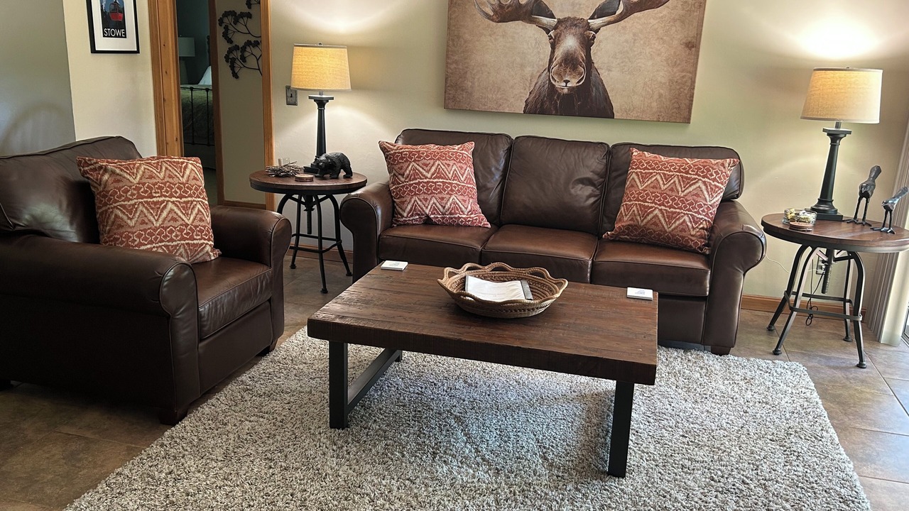 Photo of Livingroom in Stowe Area