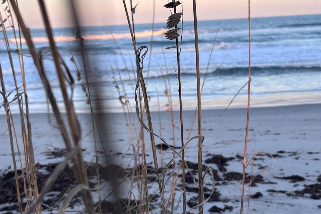 Photo of Others in Crescent Beach