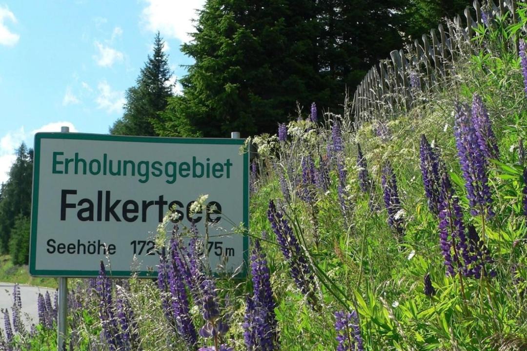 Photo of Others in Falkert