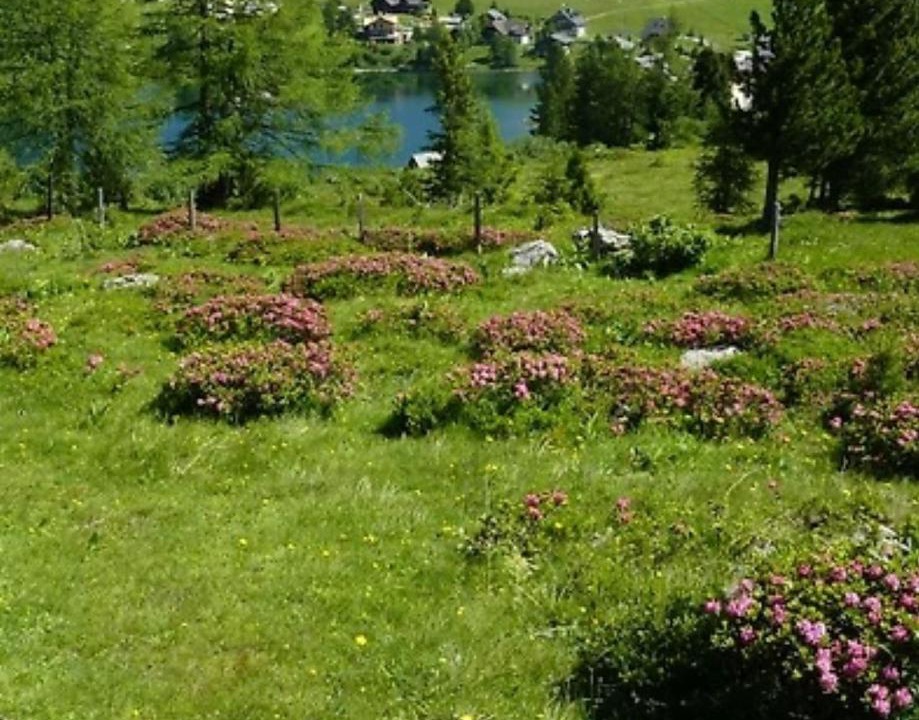 Photo of Others in Falkert