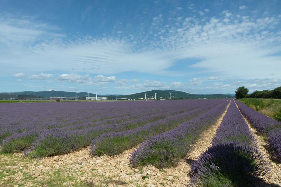 Photo of Others in Roussas