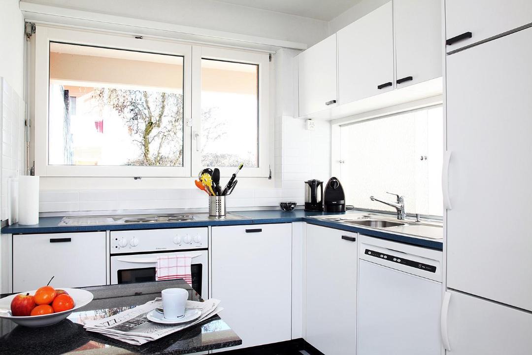 Photo of Kitchen in Dietikon District