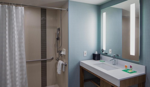 Suite, 1 Bedroom, Accessible (1 King Bed, with Roll-In Shower)