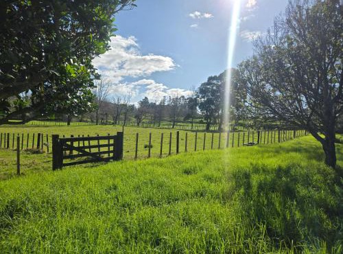 Amore Manor Auckland
